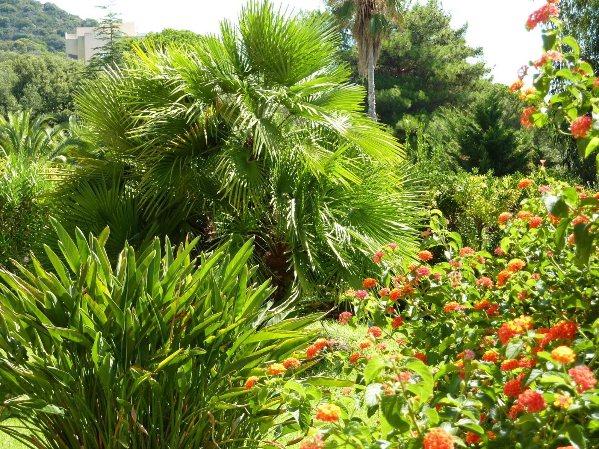 Hotel La Pinede Ajaccio  Buitenkant foto